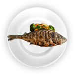 Large Fish (2)  Single 